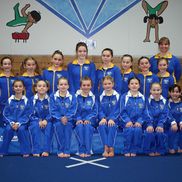 D’Anna Millar from Bancroft Gems Gymnastics