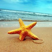 Ocean Interiors