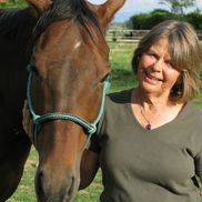 Stanlee Smith from Horses Helping People.