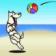 Keleigh Schwartz from beachdog.com