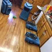 Murphree Restoration Services