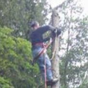 Glenn Moniz from Moniz Landscaping