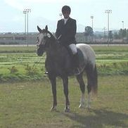 Lise Jumper from Jumper's Sport Horses