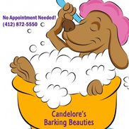 Norman Candelore from Candelore's Barking Beauties Inc.
