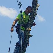 David Metheney from Ole' Smokey's Tree Service, LLC