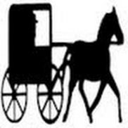 Chris D. from Amish Built, Inc.