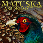 Tom Matuska from Matuska Taxidermy