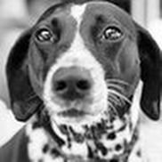 Katinka Hartmetz from Katinka's Art