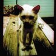 Dominic Cancilla from LP/DGA UPM