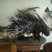 Scott Albrecht from Ellison Technologies