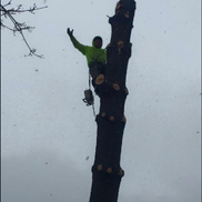 John Pond from John Pond’s Tree Service