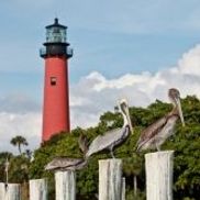 Jupiter Lighthouse Realty