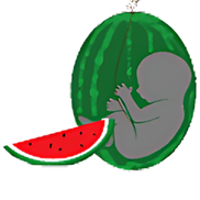 Elisabeth vanderWilt from Fruitful Womb Doula Services