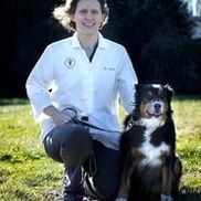 Esra Yavuz Weisheit from Nease Animal Hospital