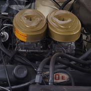 F.D. Cardinal from Cardinal Classics NE/AR