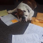 Jaxon Butzgy from The Butzgy Agency LLC