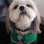 Aimiende Negbenebor Sela from Sela Films LLC