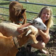 Louise Furman from Critter Caravan