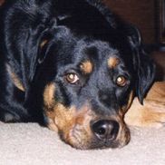 Eileen Tse from Get Organized with Eileen