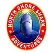 Joe Pavsek from North Shore Shark Adventures