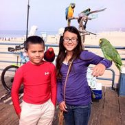 Susan Hampton from Susan Hampton