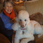 Catherine Johnston from Catheine Johnston, Sculptor, Artist, Curious Creative