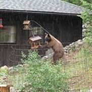 Mark Wills, DMC-D from Security Equipment Supply - SES