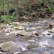 Daniel Williams from A&D Cleaning Service