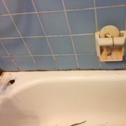 Pro Grout from Pro Grout