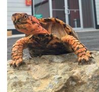 Shane Hazelwood from Q2 Self Storage Paramount