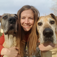 Mandy, For The Love Of Dogs