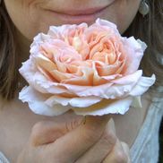 Denise Rochon from Dr Denise Rochon ND