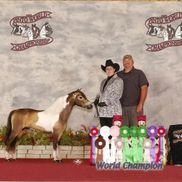 Ann Darnell from Ann’s Bookkeeping LLC