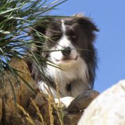 Robert Dean from RMD Investing, LLC