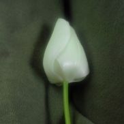 Susan McGarry from Sangamon Hills Properties