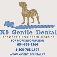 Robin Canuel from K9 Gentle Dental