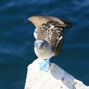 Bruce MacDermott from Fine Structure Home Inspection