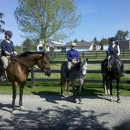 Marianne Howard from Sage Horse Coaching