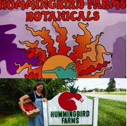 Jennifer Sturmer from Hummingbird Farms, Inc.