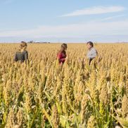 Kristy Lewis from QUINN