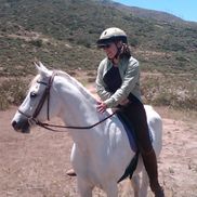 Holly Ann Halsey from Acussage - Holly Halsey L. Ac.