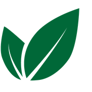 Mary Wu from Mary's Holistic Wellness Inc.