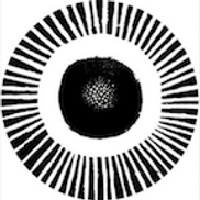 Martha Perkins from Gallery on Park