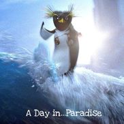 Darryl Siu from Games-People-Play