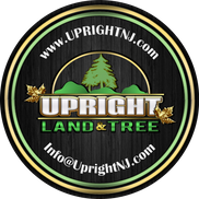 Dennis Kopczyk from Upright Land & Tree