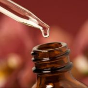 Discovering Family Wellness, LLC