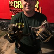 Michael Garrett from The Critter Team