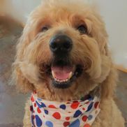 Kathie Anderson from Pawtery