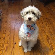 Madeline Enochs from Miss Maddies