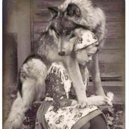 Brentlee Rasavage  from KritterKollars.com